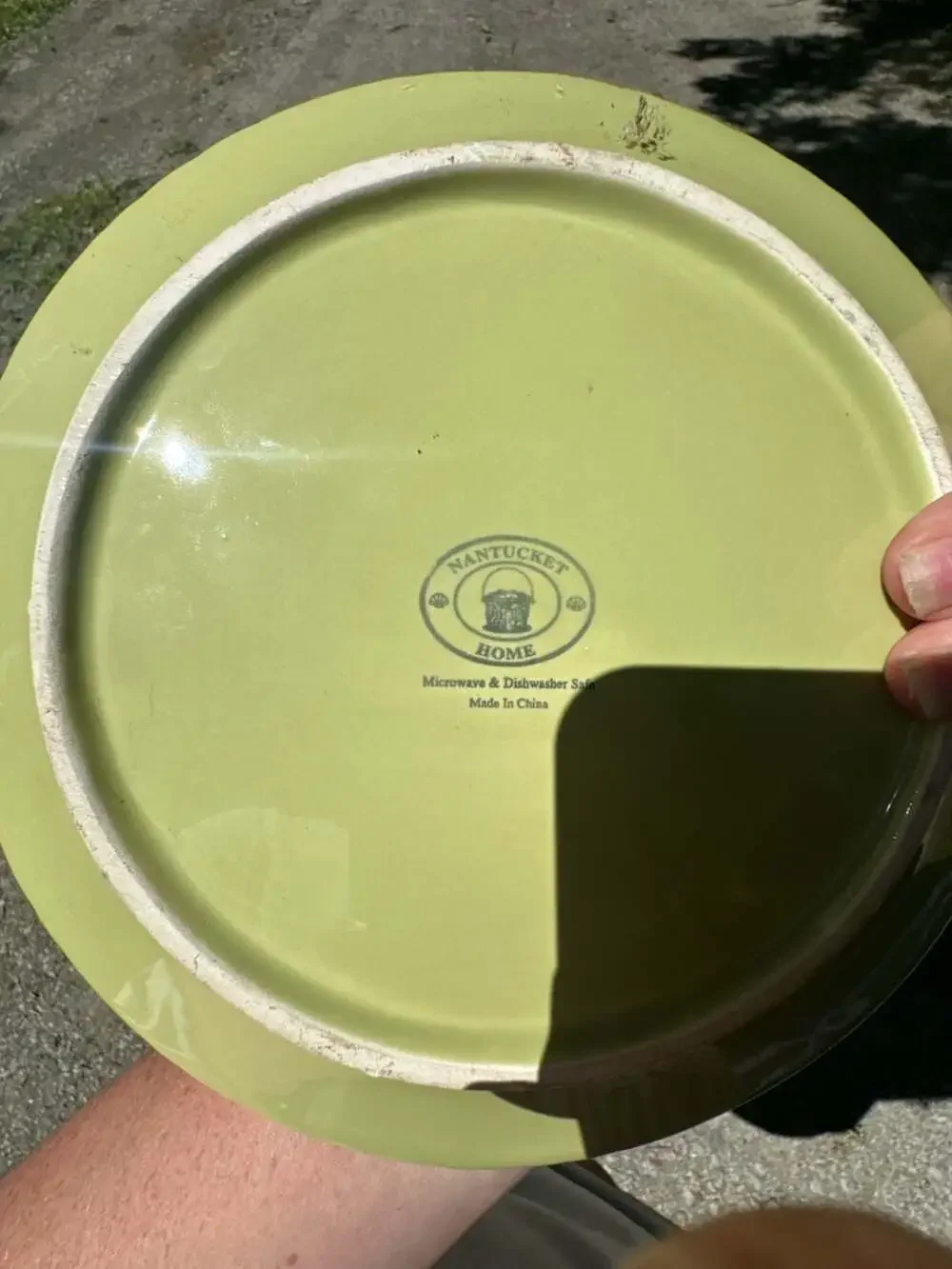 Nantucket Home Green Grapevine Relief Embossed Salad Plate